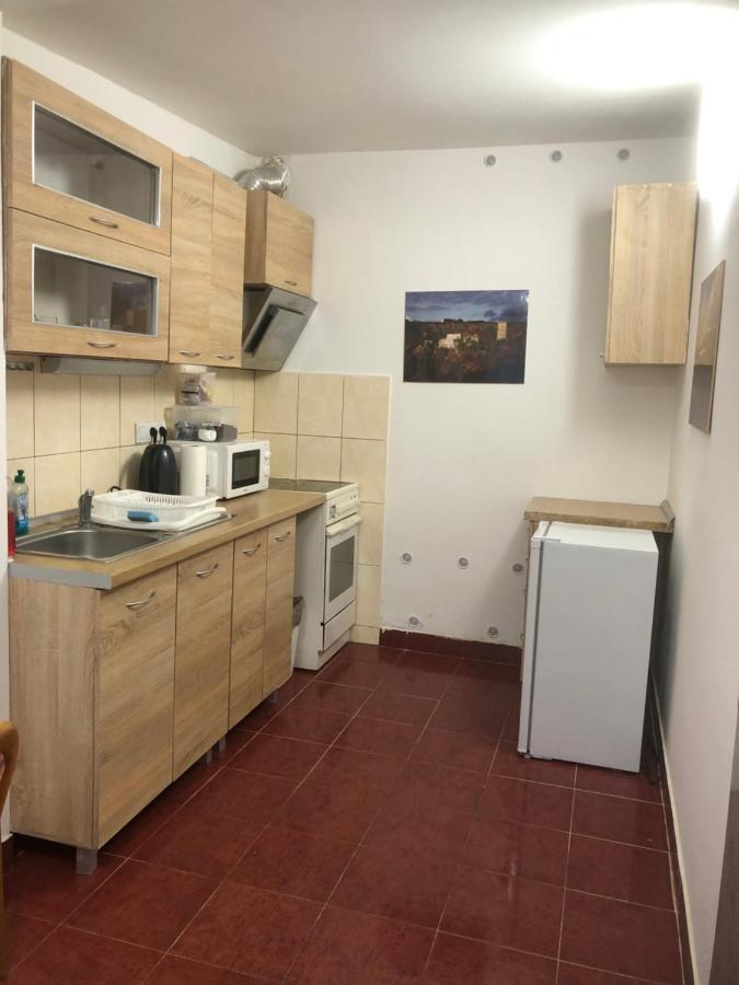 Penzion Duong Apartments Karlovy Vary Esterno foto
